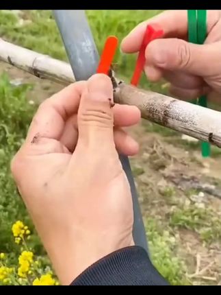 绑扎丝尼龙简单自锁式束线带塑料捆绑带固定扎绳拉紧器扎丝耐低温 #捆绑带 #扎带 #养花小知识 #园艺帮手 #实用工具