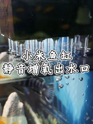 小米鱼缸出水口顺壁流的问题终于解决了 还不用一百多换水泵#小米鱼缸 #养鱼日记
