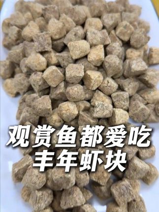 这6分钱一块的丰年虾,撕开了都是实心的,实打实的丰年虾块。 #喂鱼 #鱼粮 #鱼食 #新手养鱼 #观赏鱼