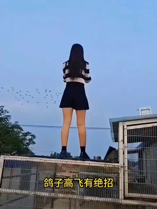 #养鸡 鸡呼噜,鸡咳喘怎么办
