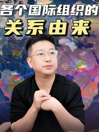 各个国际组织的关系由来! #国际组织 #国际关系 #国际局势 #国际新闻 #掘金计划2025