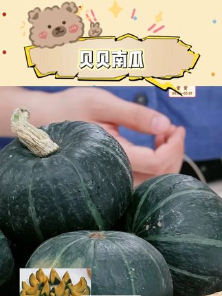 【盈羽】麻籽贝贝南瓜 #南瓜 #贝贝南瓜 #麻籽贝贝南瓜 #水果蔬菜 #好物推荐 @DOU+小助手 @DOU+上热门