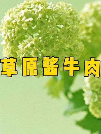 草原酱牛肉:早餐配粥、午餐加菜,开袋即食超方便#每日分享 #酱牛肉 #草原酱牛肉