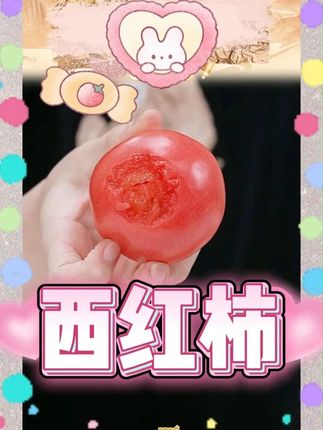 西红柿沙瓤带籽产地现摘发番茄#西红柿 #番茄 #维生素