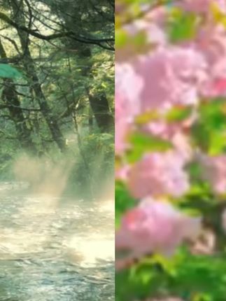 一瓶封存的大自然花香气息 #自然之美#香水沐浴露#女生必备#氛围感#沉浸式体验