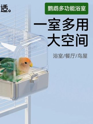 这种美丽又好用的东西也太适合给小鸟用了! #鹦鹉鹦鹉萌萌哒逗鹦鹉 #鹦鹉 #牡丹鹦鹉