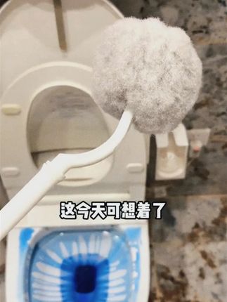 日式免洗不伤釉软毛马桶刷耐用免打孔可弯曲软毛替换头 #马桶刷  #卫生间好物  #马桶清洁神器  #马桶刷推荐  #马桶刷套装