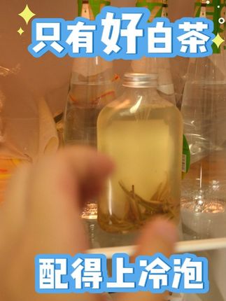 冷泡白茶的正确打开方式,白毫银针原来这么香! 冰镇白茶这样做,白毫银针冷泡教程来了,一定先要选这款好茶!#夏日饮品 品 #白茶冷泡 #召唤茶友 #茶马世家