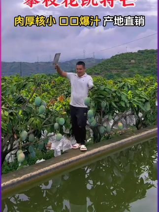 b #抖音助农扶农 #原产地采购 #家乡好货 #水果