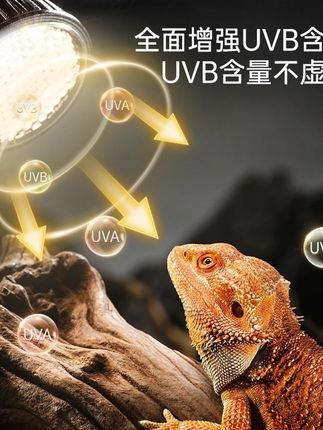 其鳞爬宠全光谱补钙灯黄缘乌龟守宫蜥蜴UVAUVB太阳光LED晒背灯泡#爬宠补钙灯 #全光谱灯 #爬宠用品 #UVAUVB灯 #宠物照明