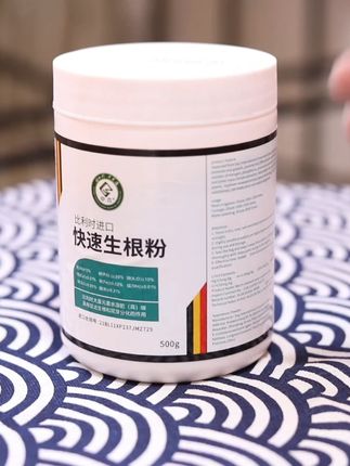 养的根系少不长根怎么办?