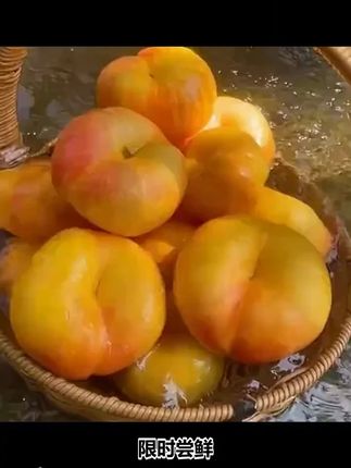 【蒙阴油蟠7】彩虹油蟠桃脆爽糯软新鲜脆甜食用多汁0防腐剂顺丰包邮 #脆爽 #蒙阴 #油蟠 #糯软