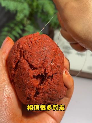 相信很多钓友都为钓不到鲫鱼而困扰 所以我比较推荐美人鱼这款鲜红虫虾拉饵!#钓鱼 #饵料 7.18X