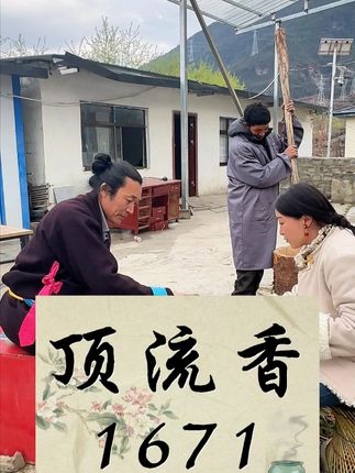 坚持用下来的香友,能感觉到有不同 1671是不可多得的好香#藏香 #搭末拉藏香