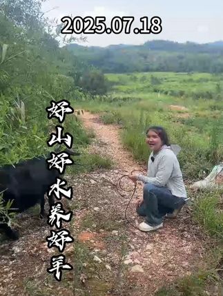 2025年7月18号,黑山羊来了哦#生态放养 #跑山猪 #农村创业养殖 #大山里的味道 #放羊日常