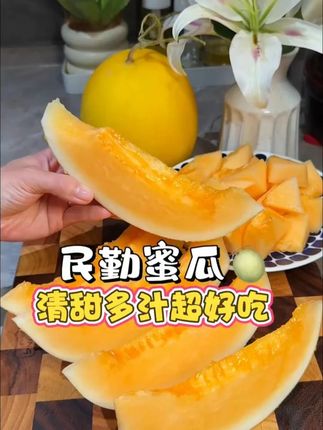 蜜瓜产地大丰收了便宜给您发一箱 #沙漠蜜瓜  #黄河蜜瓜  #蜜瓜  #民勤蜜瓜