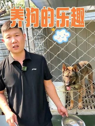 高蛋白易消化,营养全面狗狗抢着吃 #狗粮推荐 #养狗的日常 #训练狗狗 #养狗的乐趣 #养狗人