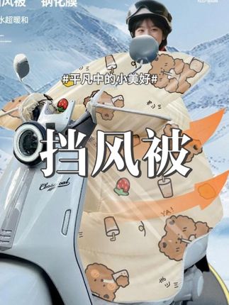 哎哟喂,这种挡风被还真没见过 #福利价 #电动车挡风被 #俩小胖挡风被 #反季特卖 #性价比