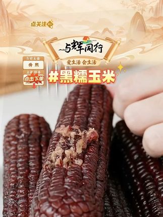 【享为乐】山西黑糯玉米真空包装8根装220g/根#黑糯玉米 #糯玉米 #玉米 #山西黑糯玉米 #好物推荐