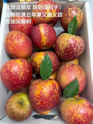 昭通丑苹果,别看皮上有点“小雀斑”,咬一口全是糖心甜!日照足,温差大,自然长熟不催熟。丑是丑了点,但果肉脆嫩,汁水多到飙,甜得实实在在。咱吃的是味道,不是颜值。昭通丑苹果,丑得有道理,甜得够地道!#丑苹果 #又脆又甜 #新鲜应季水果 #口感特别好 #现摘现发新鲜到家