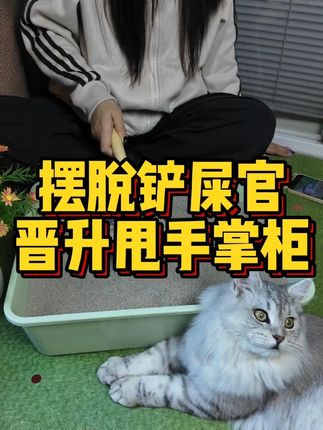 天呐!这么好用才几块?就算不缺猫砂也要囤起来! #猫砂测评 #猫砂 #萌宠好物