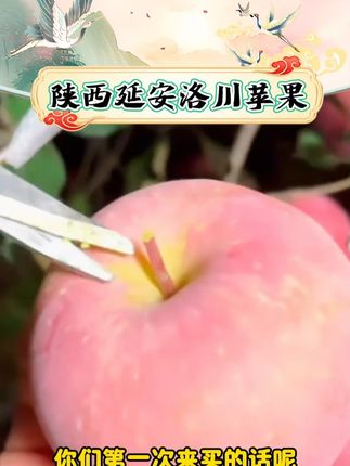 【自然搭档】陕西延安洛川苹果4斤/5斤/8.5斤新鲜红富士苹果水果#陕西延安洛川苹果 #洛川苹果 #苹果 #水果 #好物推荐 @DOU+小助手 @DOU+好生意