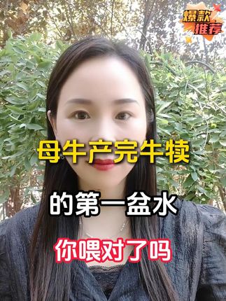 母牛产后怎么养0715 #养牛技术 #养牛人 #农村创业养殖 #每天分享牛羊养殖小知识 #全国养牛人