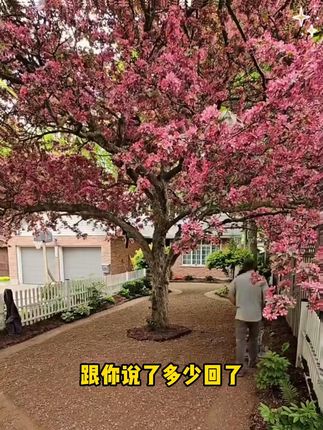 家长一定要读读这本《父母越松弛 孩子越强大》,学会育儿的的正确方法,孩子会越来越感恩!!#育儿 #家庭教育 #家长必读 #父母课堂 #好书分享