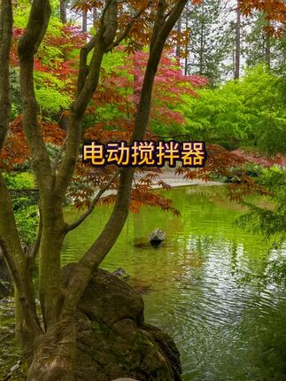 全自动电动搅拌器厨房淘米打蛋搅拌免手洗打发便捷淘五谷杂粮神器