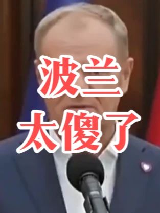 社会百态 #波兰 #北约 #俄罗斯