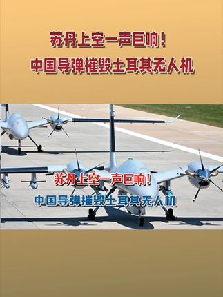 苏丹上空一声巨响!中国导弹摧毁土耳其无人机,性能令欧美不敢信#硬核深度计划 #零基础看懂全球