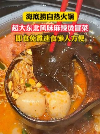 #海底捞 新出的这个超大锅东北麻辣烫 真的是惊艳到我了#东北麻辣烫 #自热锅 #好吃到停不下来
