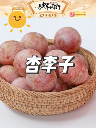 新疆恐龙蛋杏李子 #恐龙蛋 #杏李子 #酸酸甜甜 #快来一起尝个鲜 #吃货必备
