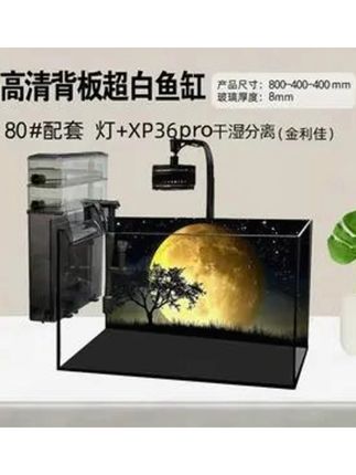 技研精工金晶四线超白直角黑胶黑背彩背鱼缸桌面客厅中小型鱼缸#养鱼日记 #鱼缸 #超白鱼缸 #背滤鱼缸