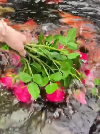 保加利亚仿真花,高级花艺装饰客厅餐桌超逼真! #桌面插花好物 #高级仿真花束 #高级仿真花 #客厅桌面装饰 #餐桌插花