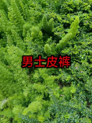 #男士皮裤 #防风保暖 #工作裤