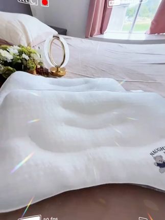郝劭文推荐 枕头一对装亲子枕芯单只助睡眠儿童小孩3岁以上学生家用枕头芯2#枕头 #枕芯 #护颈枕 #家用枕头 #提高睡眠质量