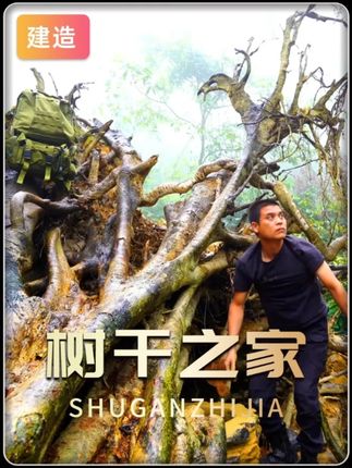 谁能想到一棵倒塌的百年古树,在这个男人的改造下摇身一变成了野外最具安全感的家#野外建造 #野外搭建 #解压