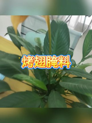 儿童奥尔良烤翅腌料香甜不辣 #宝宝辅食 #家庭烘焙 #无辣烧烤