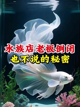 水族店老板倒闭也不说的秘密 #观赏鱼 #养鱼日记 #水族 #养鱼人 #养鱼养心