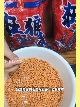 百诱狂狼青颗粒青鱼草鱼重窝料混养黑坑专用打窝颗粒垂钓大物大青 #草鱼窝料 #饵料 #青鱼草鱼料 #鱼专用打窝颗粒 #垂钓