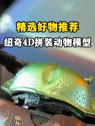 #儿童益智玩具 #爬虫 #手工 #亲子互动 #大自然的知识