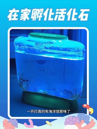 在家就能孵化的活化石 #亚卡龙 #玩具推荐 #儿童玩具 #暑假 #孩子的快乐很简单