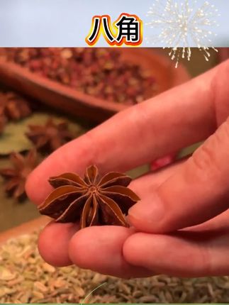 #八角 #卤味调料煲汤火锅底料卤料 #居家必备 #罗永浩 #罗永浩推荐