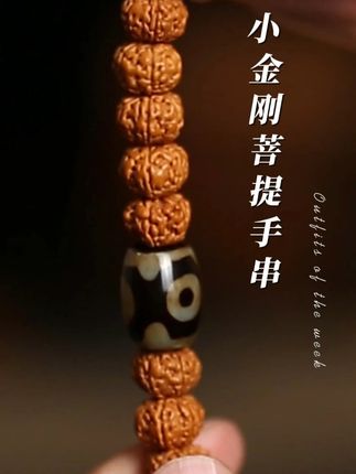 腕悬华严镜 纹流八万四千般若 #小金刚菩提手串 #尼泊尔小金刚 #小金刚菩提 @抖音小助手 #双龙纹小金刚