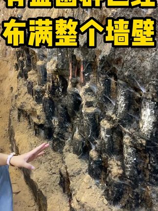 有没有见过埋在地下的美酒?埋藏在地下很多年的纯粮美酒!#白酒 #纯粮酿造 #酒文化传承 #酒厂 #酒厂实拍