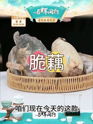 【华贵】洪湖莲藕(脆藕)3斤 /5斤 #脆藕 #洪湖莲藕 #莲藕 #凉拌藕片 #好物推荐