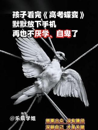 《高考蝶变》收集50位高中生的蜕变故事,用同龄人的口吻激励孩子成长,从此告别懒惰拖延#家长必读 #高考 #高中