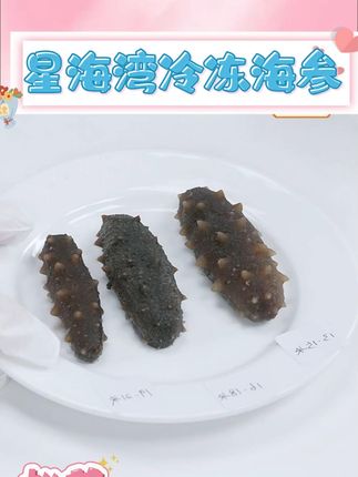 星海湾冷冻海参,富含多种营养元素,制作方便口感劲道非常好吃#海参 #辽参 #大连海参 #即食海参 #海鲜