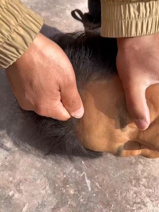 国货真的可以!本来只是跟风买的,真没想到,有这个烦恼的朋友赶快试试#何首乌洗发皂 #养发护发 #发量